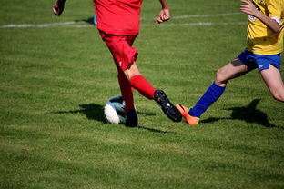 篮球训练计划科学制定及执行效果跟踪研究，简述篮球训练计划制定步骤